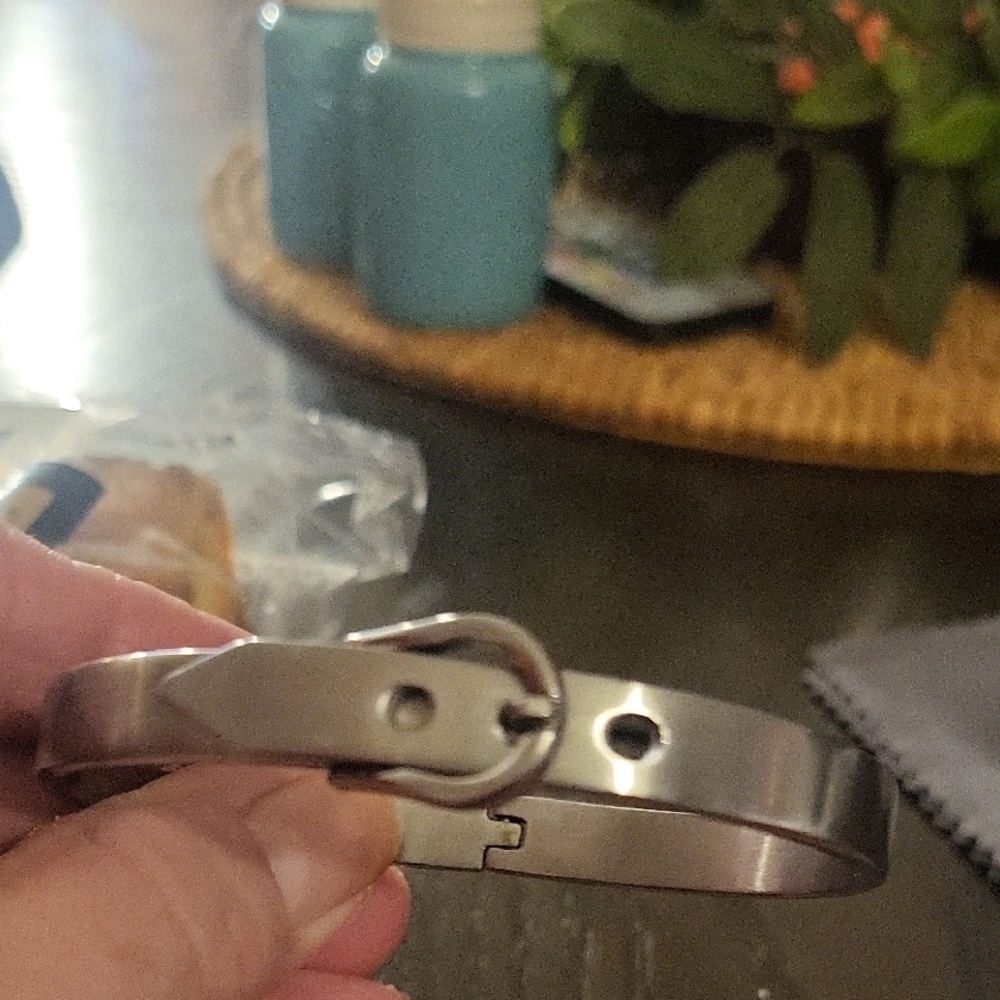 Beautiful Buckle Bracelet
